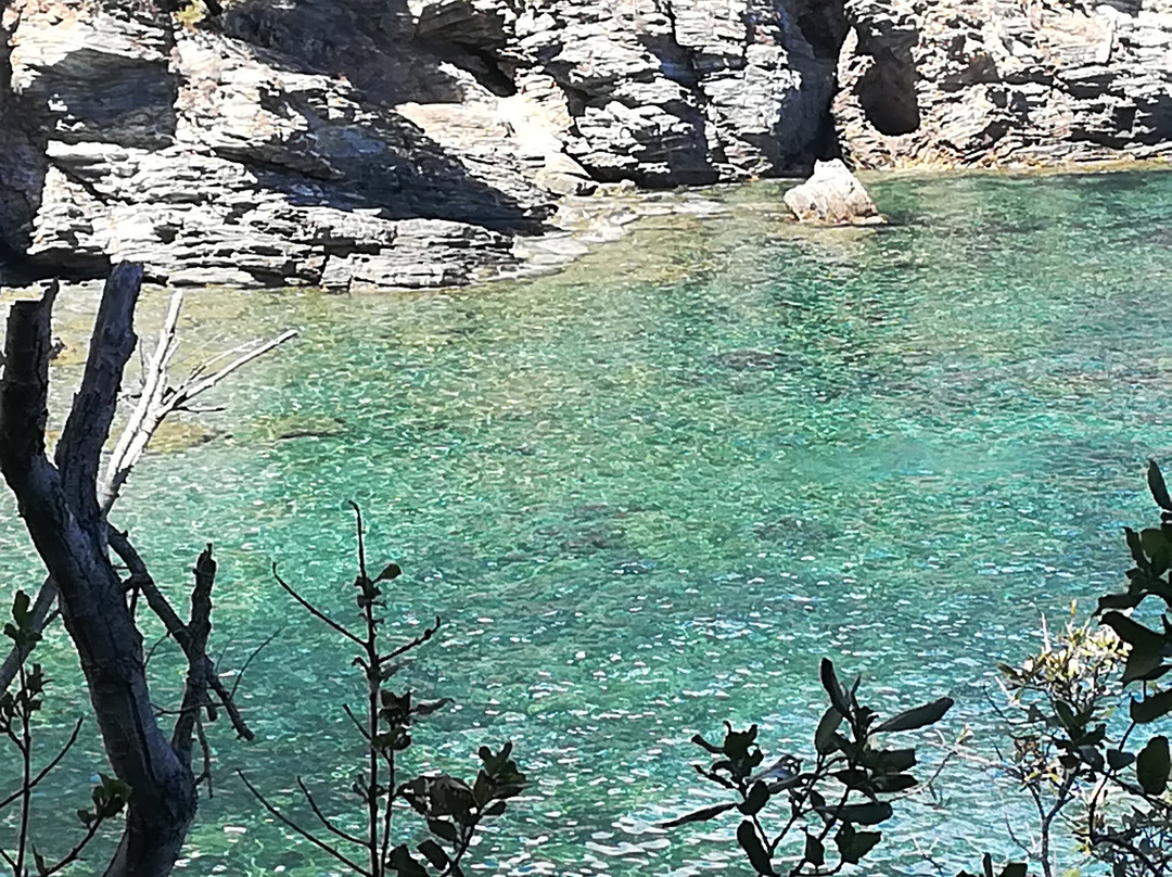 Spiaggia Luisi d'Angelo景点图片