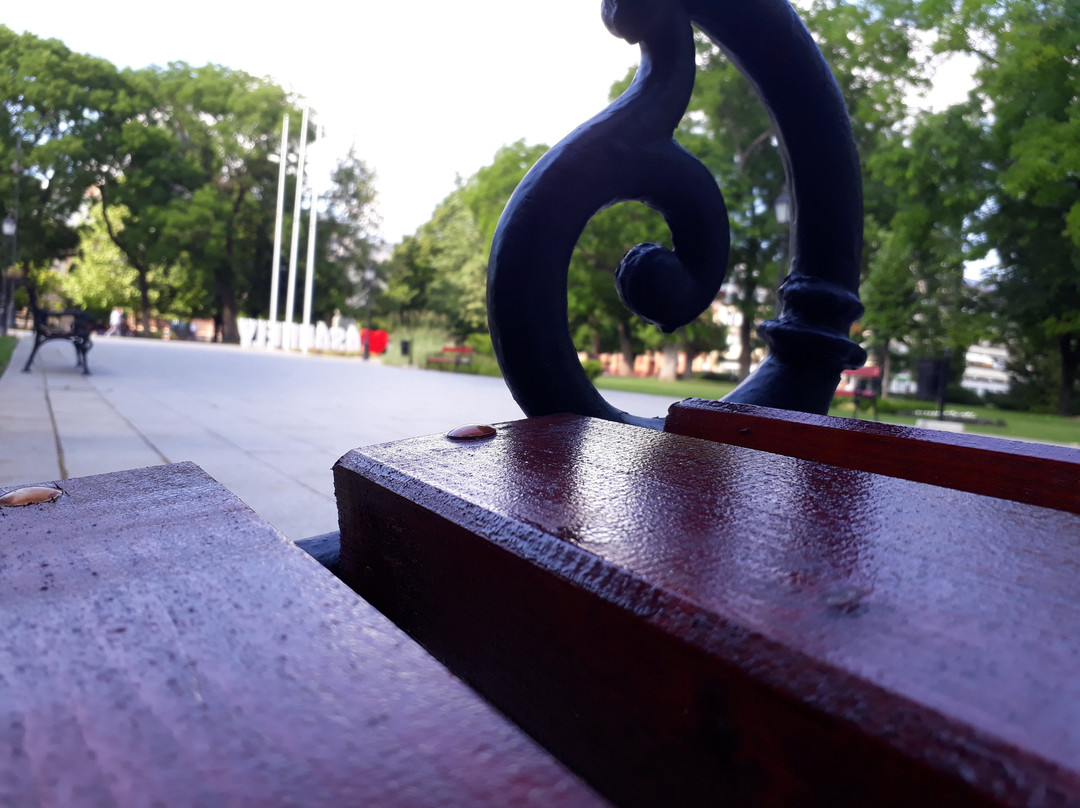 Kossuth Square-Hodmezovasarhely必去景点
