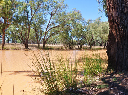 Matilda Highway-Cunnamulla必去景点