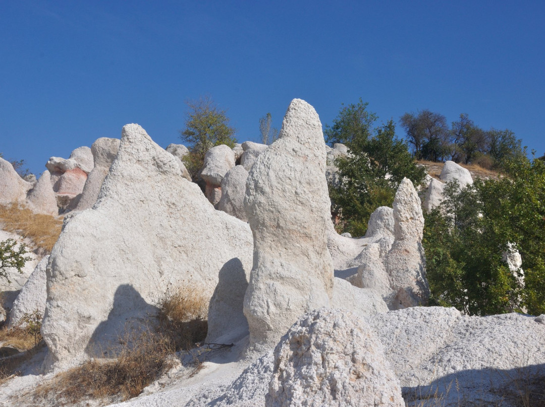 The Petrified Wedding景点图片