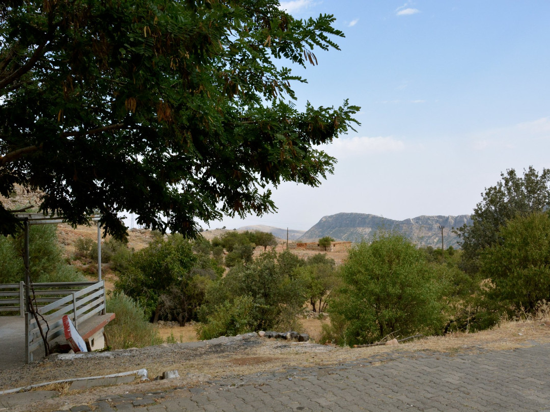 Nemrut Cesme Pension主图