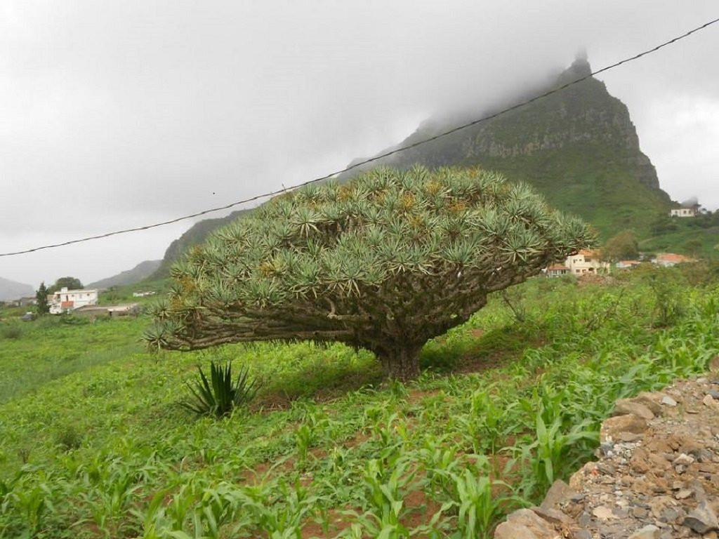 Rotxa Skribida Hiking and Tours景点图片