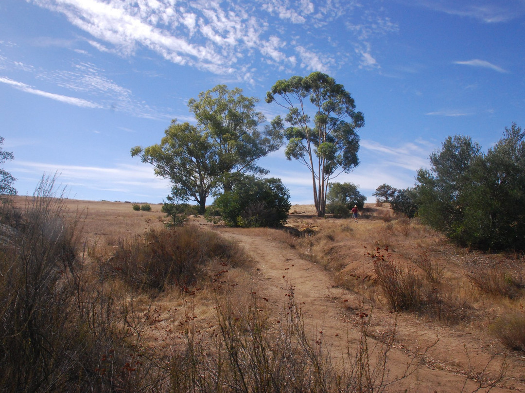 Wright's Field-Alpine必去景点