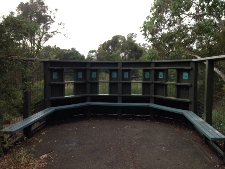 Glen Iris Park Wetlands景点图片