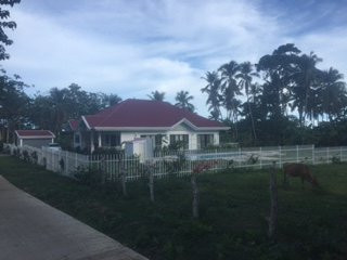Bohol White House Bed & Breakfast主图