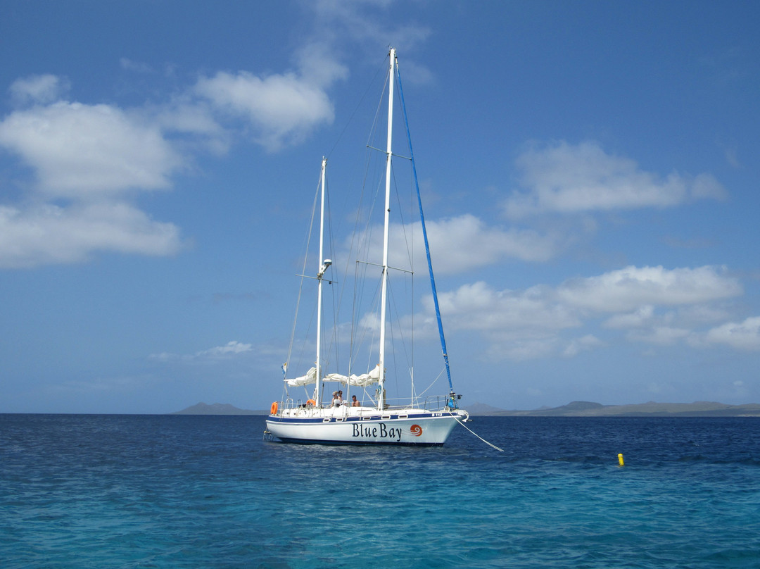 Blue Bay Bonaire-Kralendijk必去景点