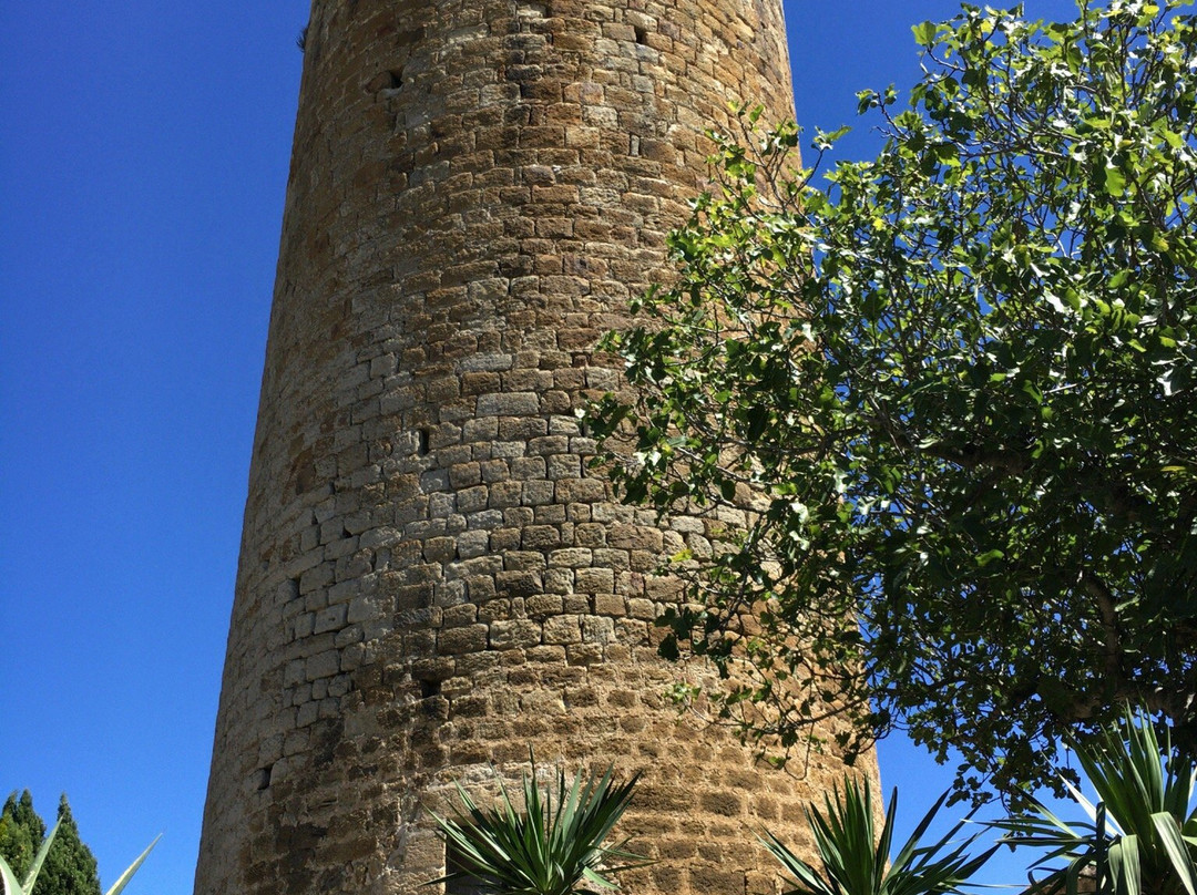 Torre de les Hores景点图片