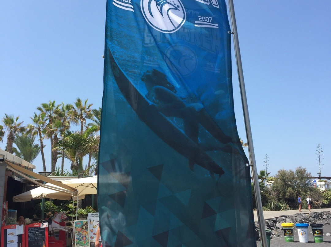 La Marea Surf School-德拉克鲁兹索尔港必去景点