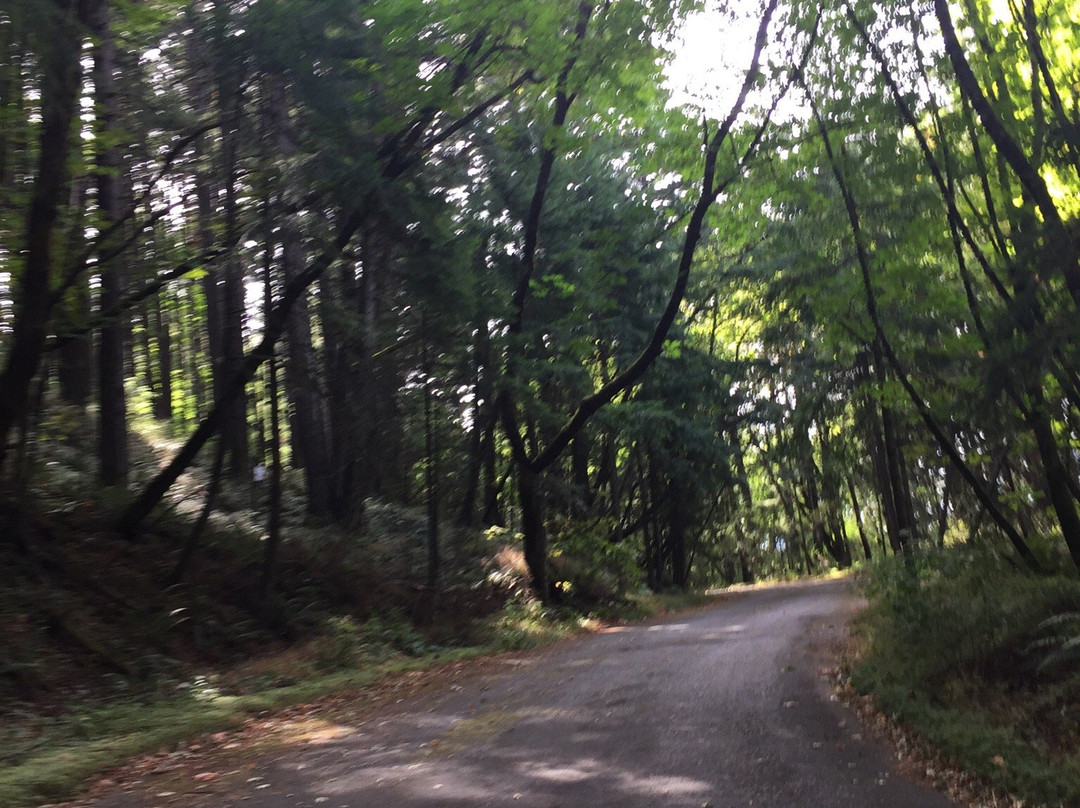 Starvation Creek Ridge Loop-Cascade Locks必去景点