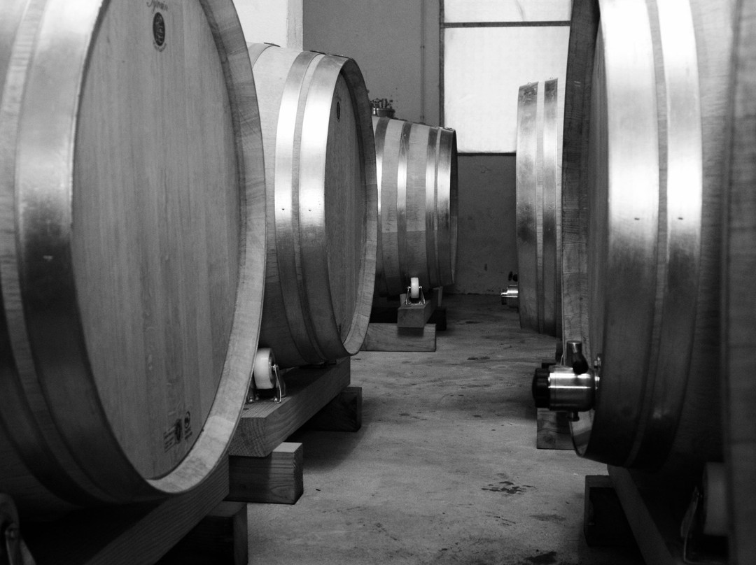 Chateau La Favière-Saint-Seurin-sur-l'Isle必去景点