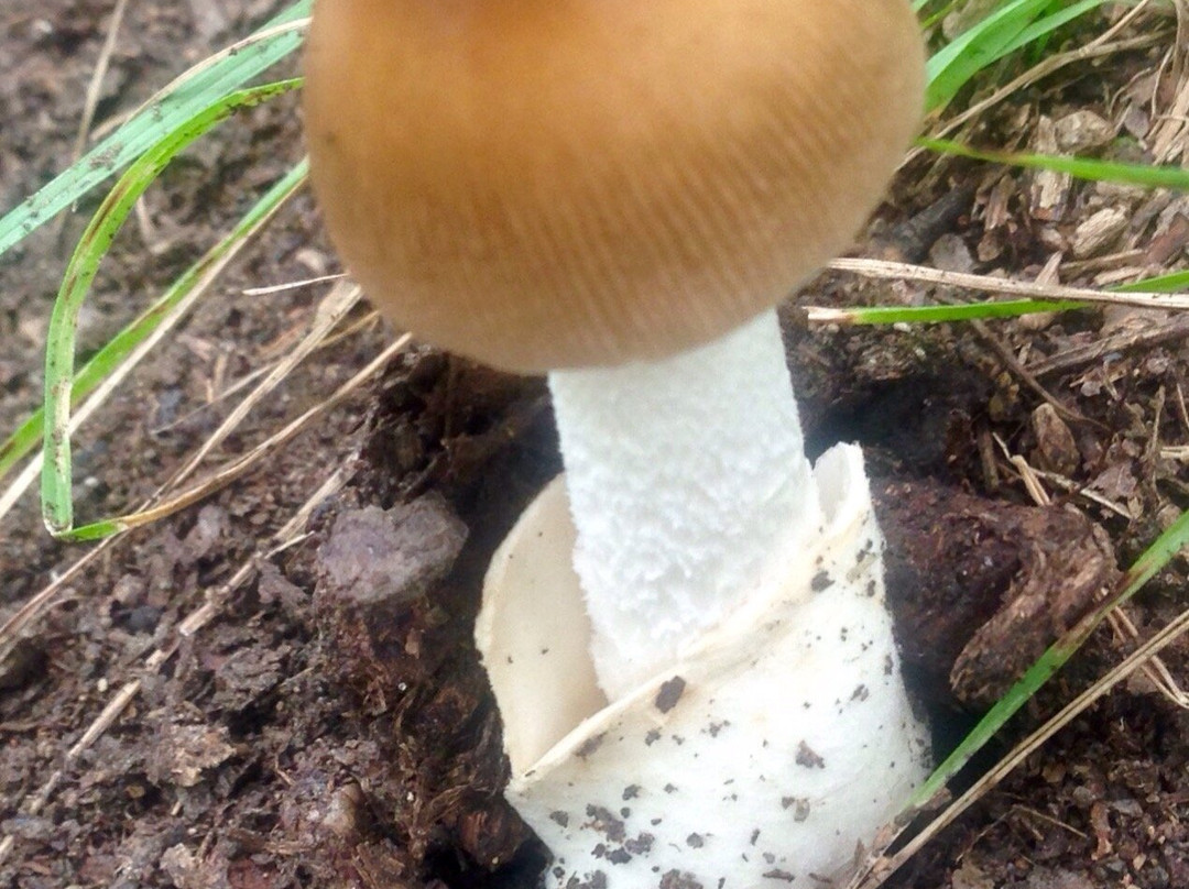 Fishkill Ridge-Beacon必去景点