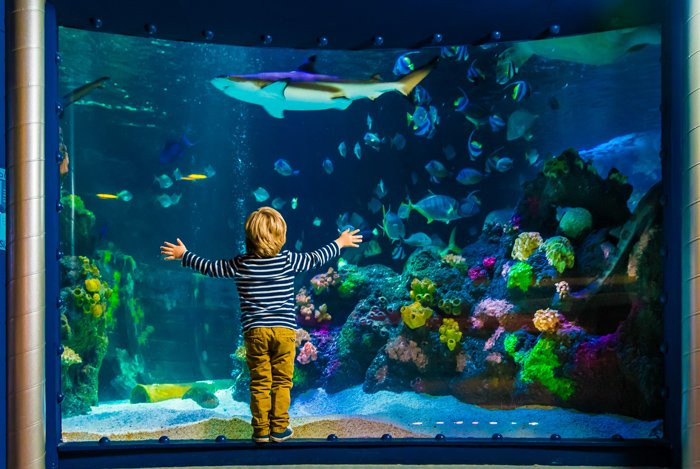 SEA LIFE Helsinki景点图片