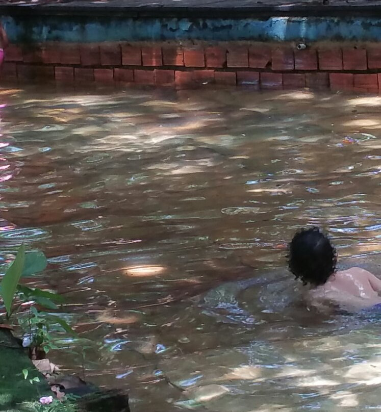 Complexo Ecologico Parque Dos Igarapes-贝伦必去景点