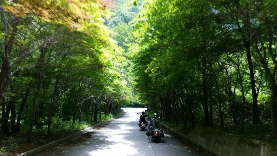 麟蹄郡旅游景点-Pilrye Mineral Spring