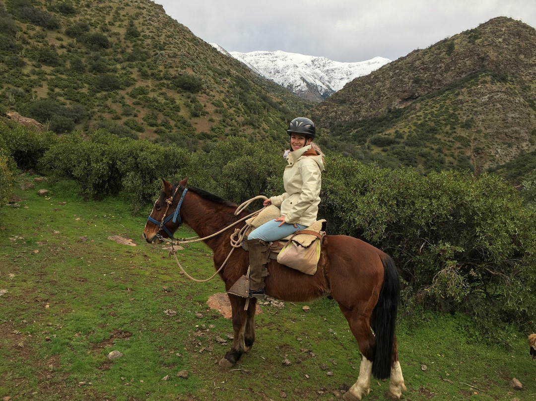 Horse Riding Chile-圣地亚哥必去景点