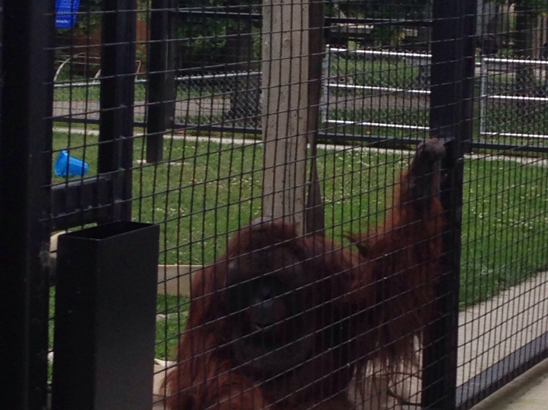 Chahinkapa Zoo-Wahpeton必去景点