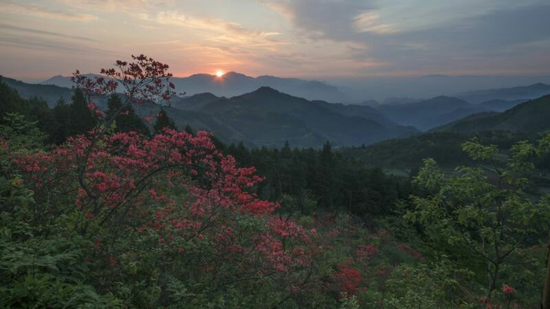 金华磐安高姥山-磐安县必去景点