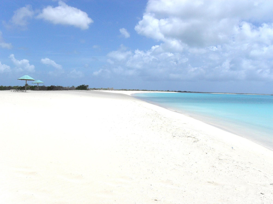 Pink Sand Beach-巴布达必去景点