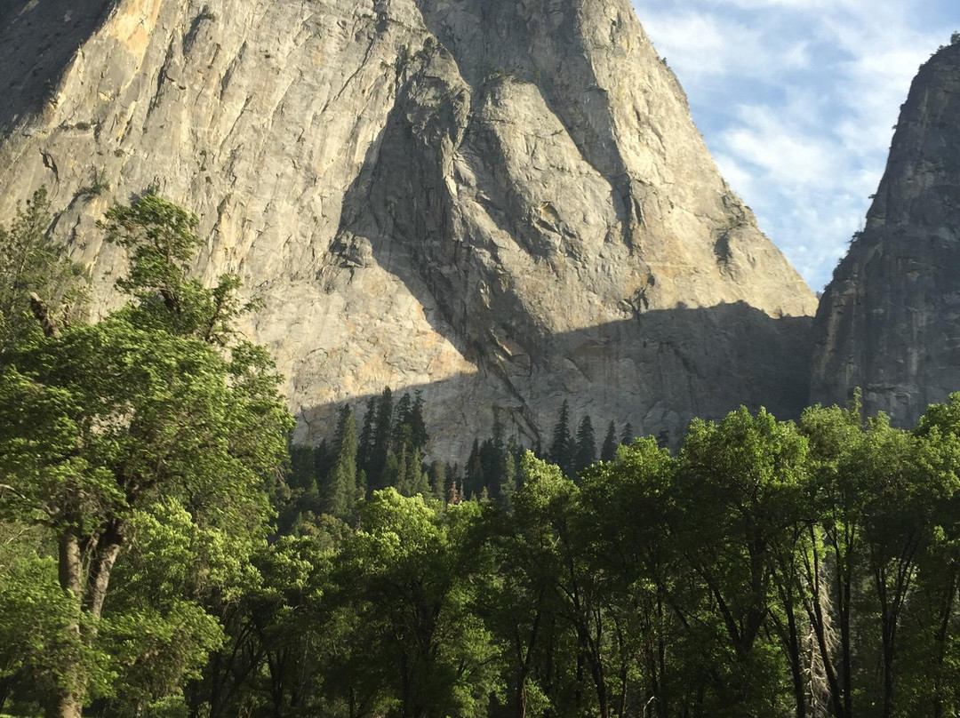 Yosemite Plaisance Bed & Breakfast主图