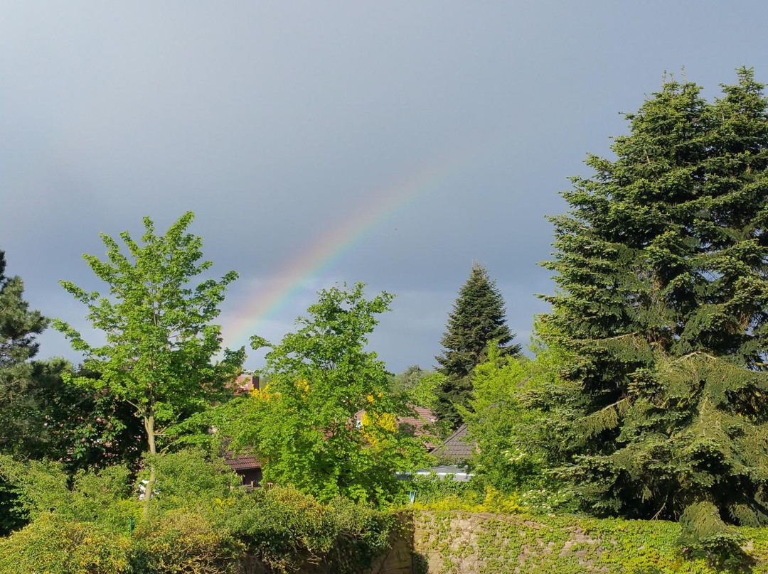 Hotel zum Gesundbrunnen主图