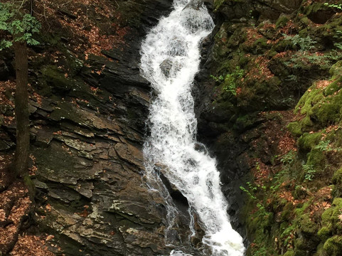 Chesterfield Gorge State Park-Chesterfield必去景点