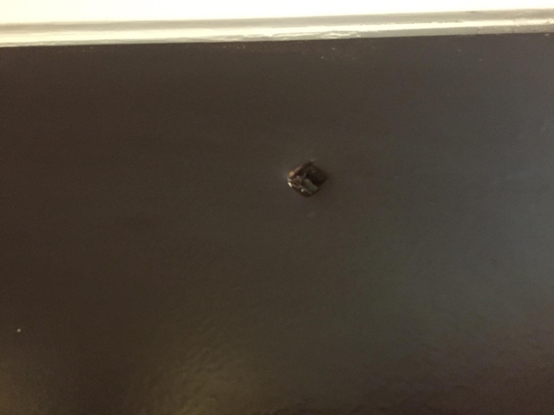 印度芒德汽车旅馆主图