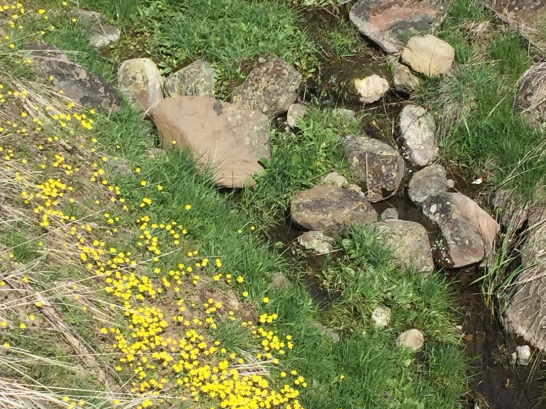 Umtanum Canyon Trail-埃伦斯堡必去景点