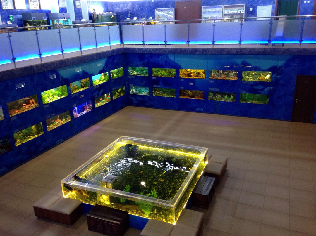 Aquarium Exhibit Hall-车里雅宾斯克必去景点