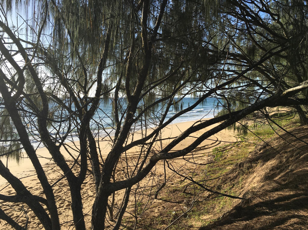 Burrum Coast National Park景点图片
