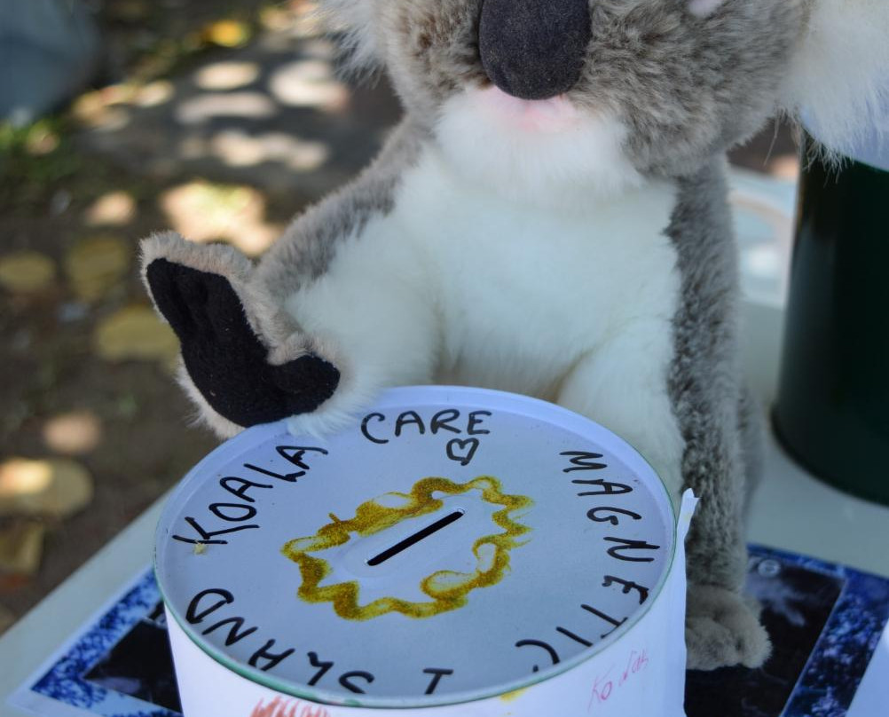 Horseshoe Bay Markets-Magnetic Island必去景点