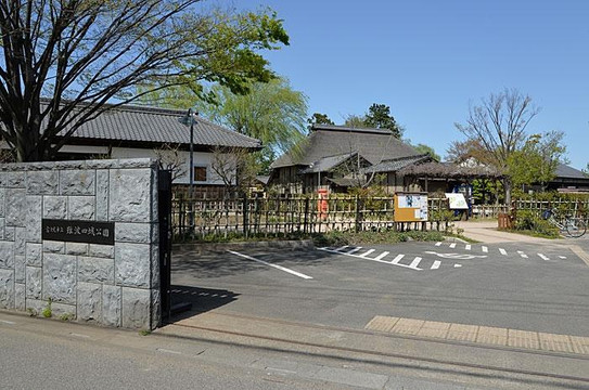 Nanbata Castle Park-富士见市必去景点