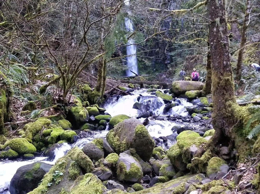 Dry Creek Falls Hike-Cascade Locks必去景点