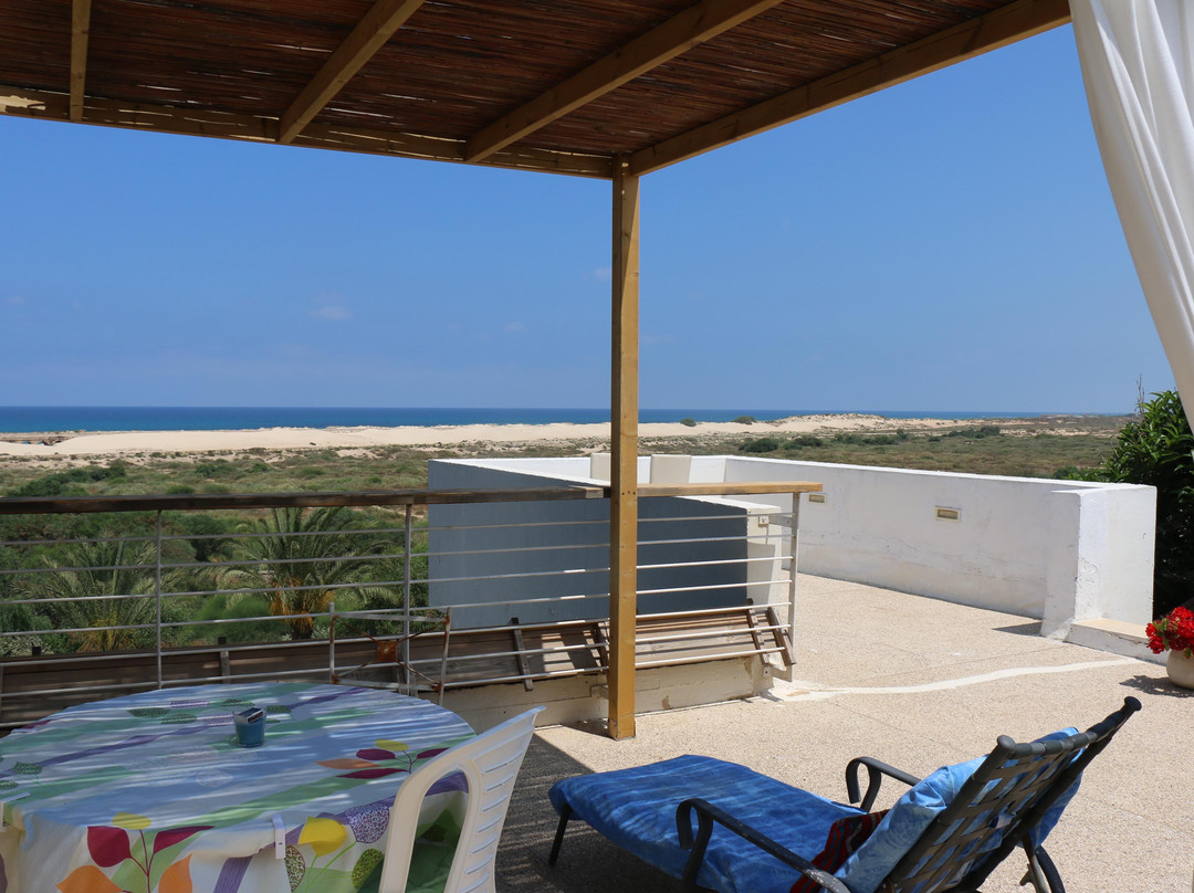 Beach Front House