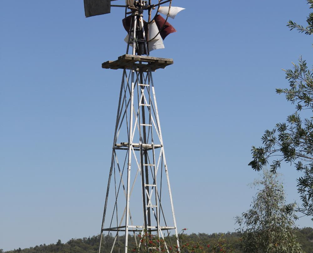 Petersons of Mudgee-马奇必去景点