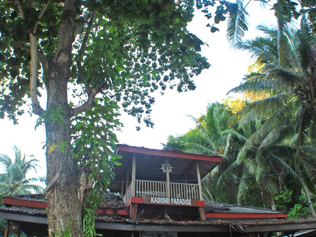 Central Sulawesi旅游攻略图片
