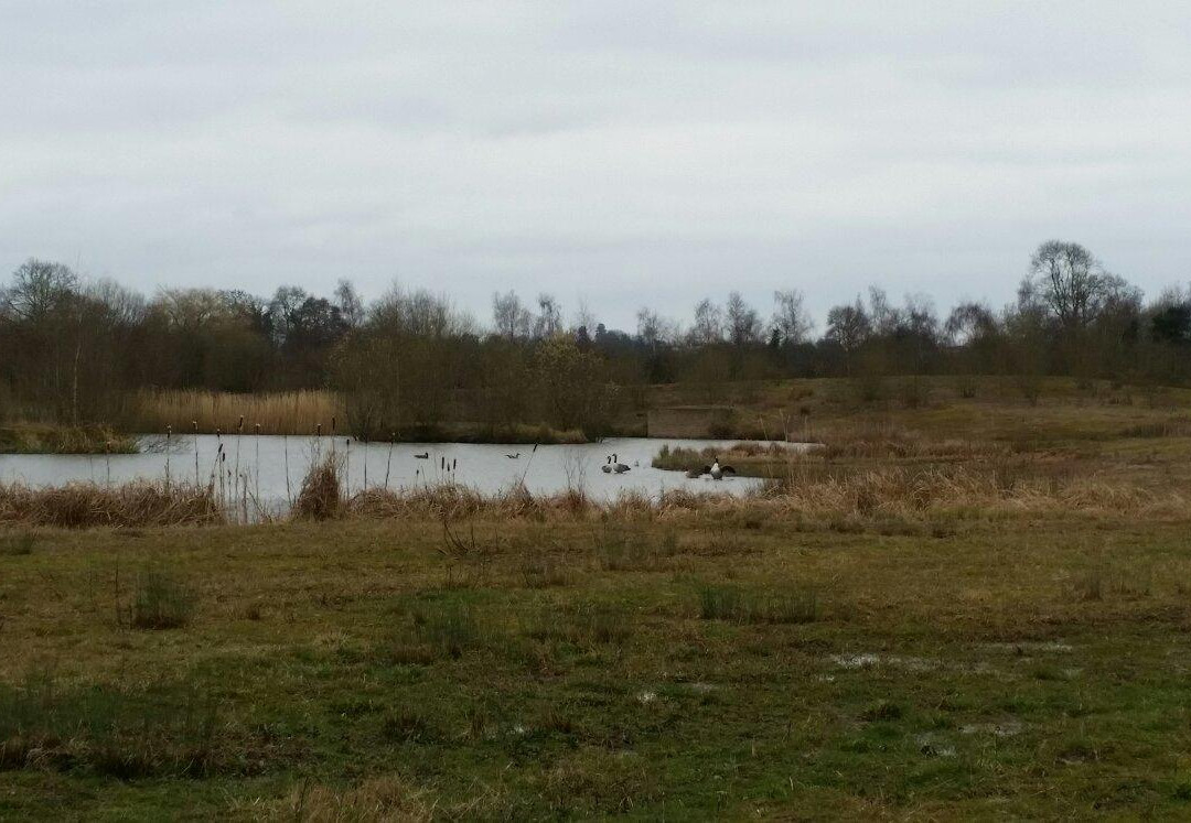 Sharnford旅游攻略图片