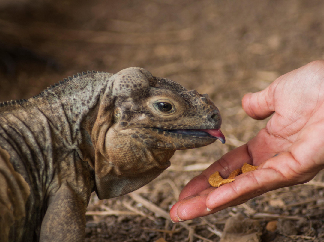 Wild Ranch Zipline Canopy-Santa Cruz de Gato必去景点