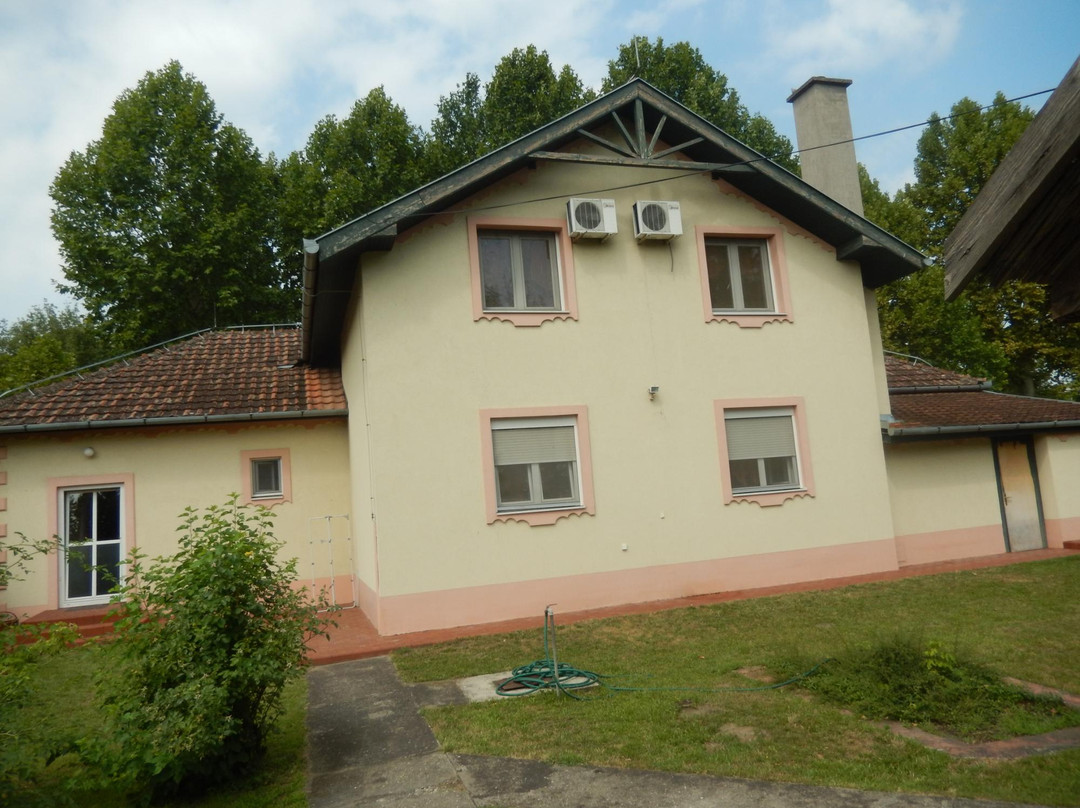 Hotel Villa Regina主图