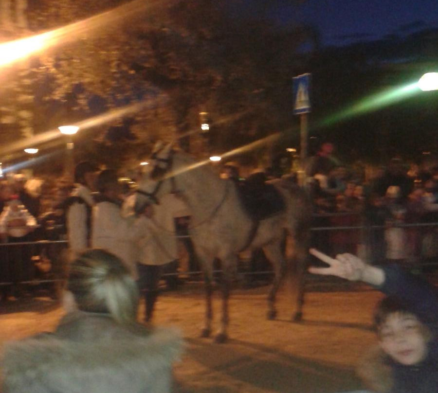 Palio del Viccio-Palo del Colle必去景点