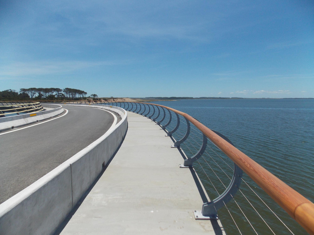 Puente Laguna Garzon