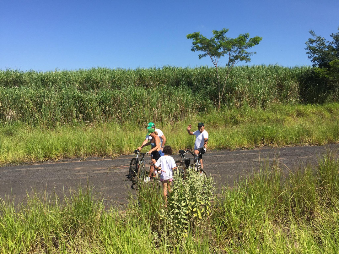 Usina Hidrelétrica Limoeiro-Sao Jose Do Rio Pardo必去景点