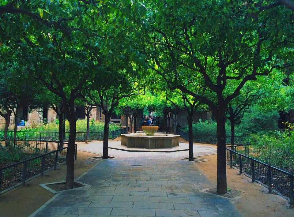 Jardins de Rubió i Lluch景点图片