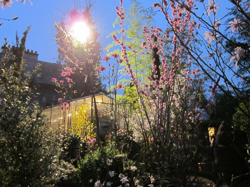 Jardinerie de Curiosités Taffin景点图片