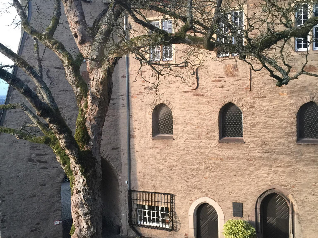 Siegerlandmuseum景点图片