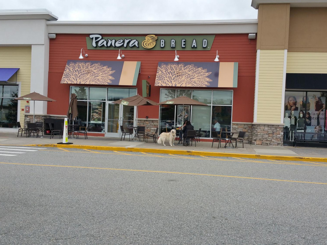 Panera Bread