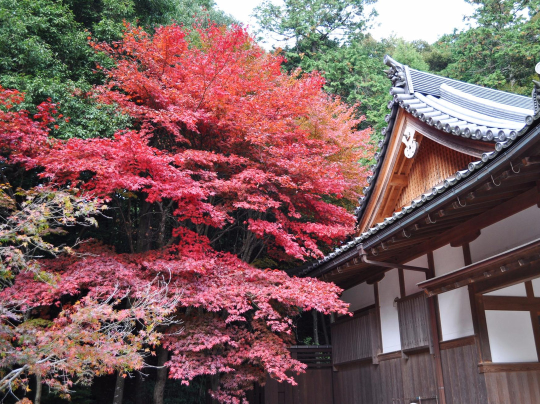 Saimyo-ji Temple-草津市必去景点