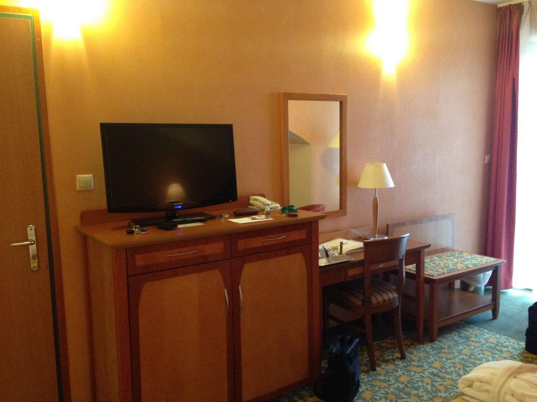 Vitalmed Hotel Sarvar主图