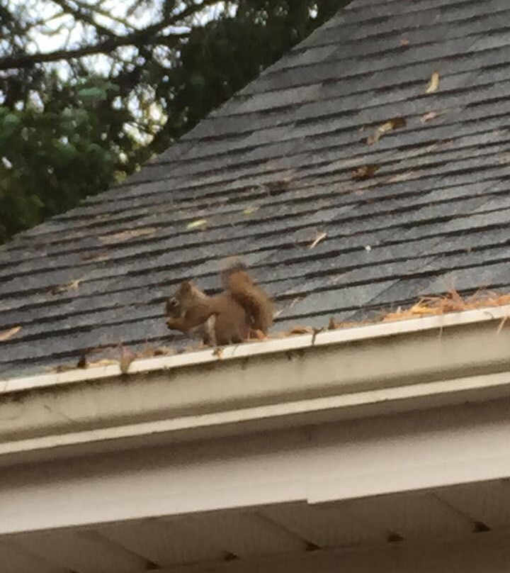 The Gathering House主图