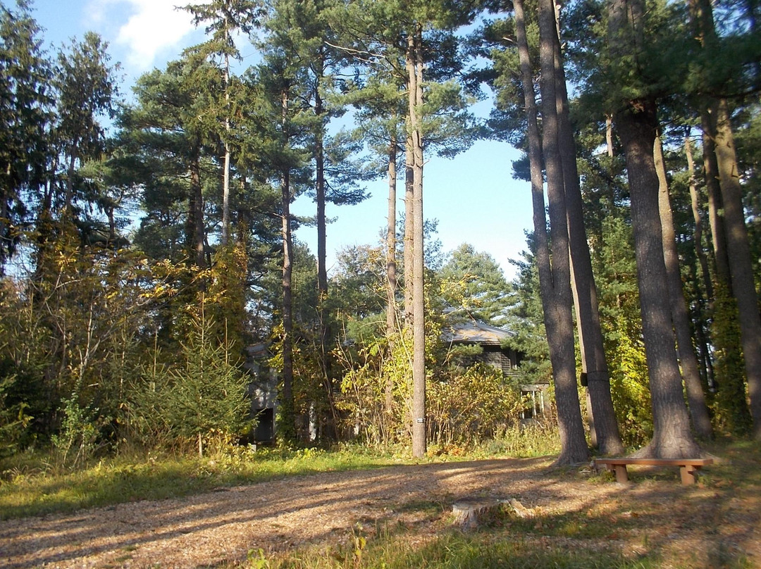 Asahikawa Forest of Foreign Tree Species-旭川市必去景点