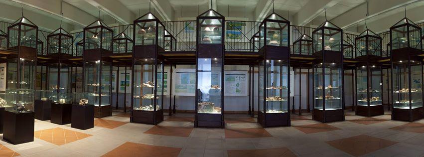 Museo Civico Archeologico del Distretto Minerario di Rio nell'Elba景点图片